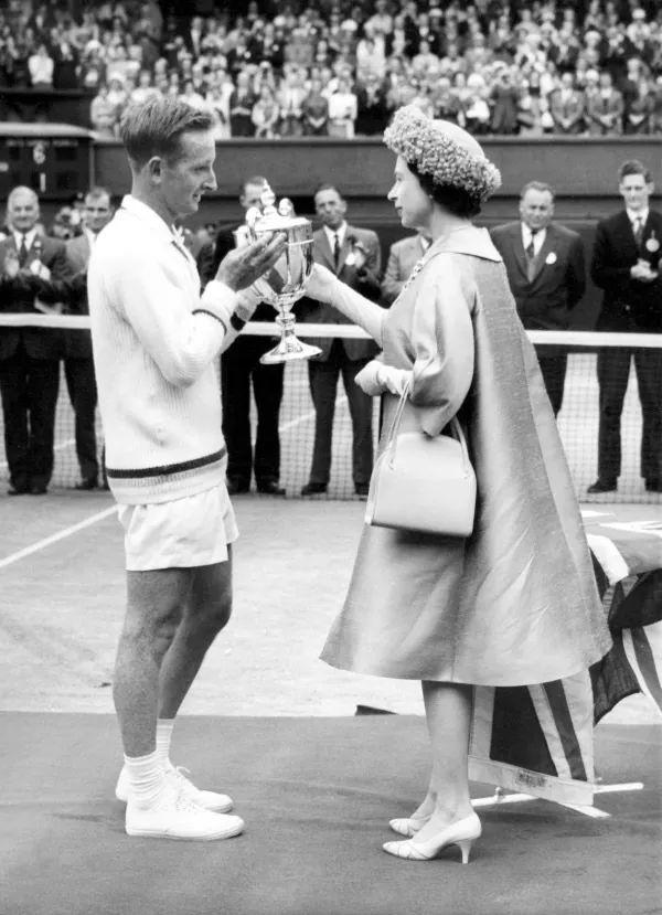 球员提供导 球员提供导