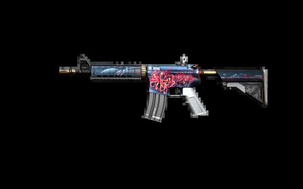 每个运动员 每个运动员