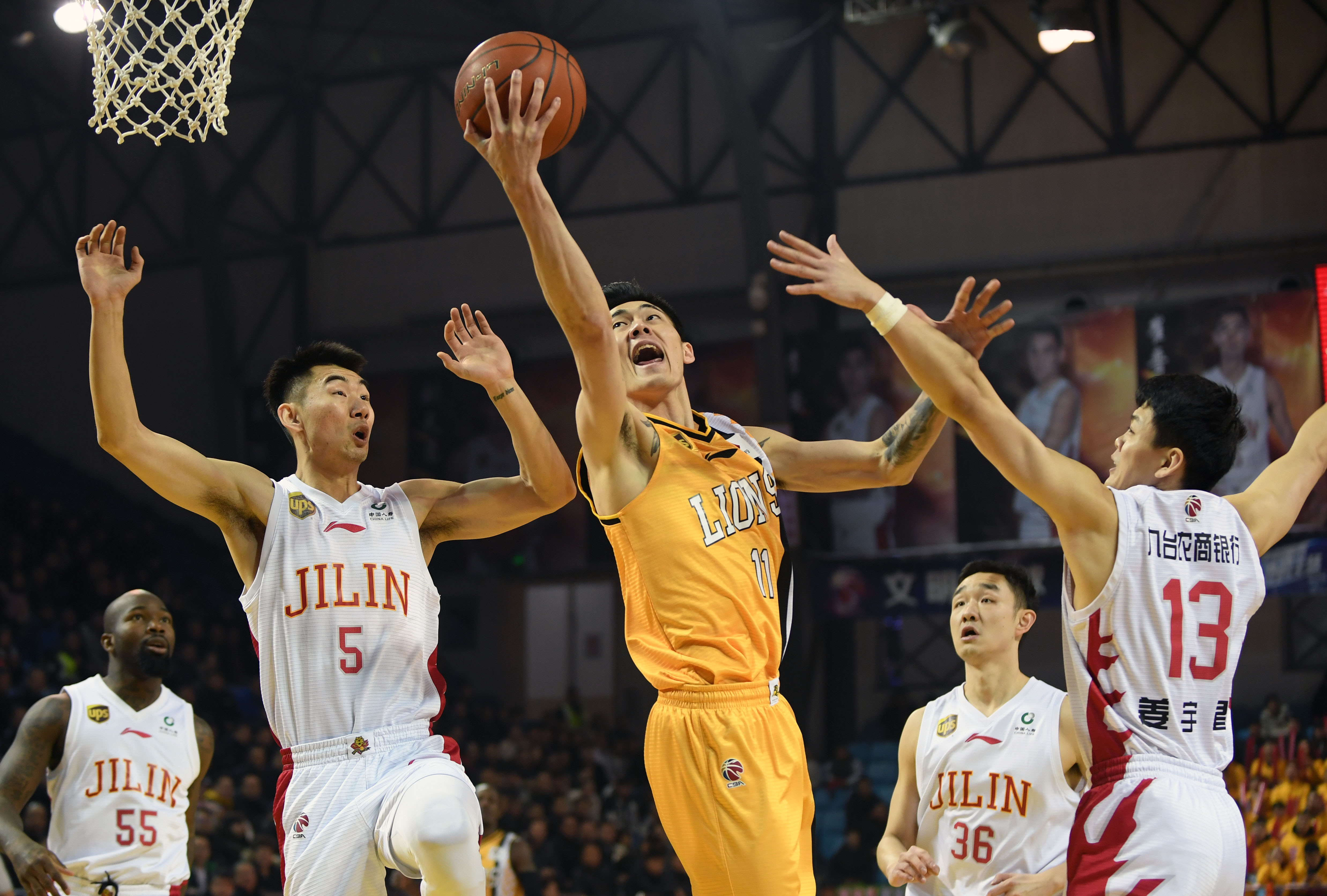 绿党一直主 绿党一直主