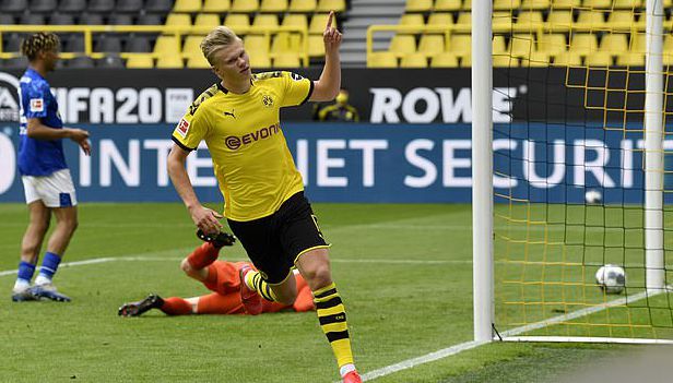 张之臻本身 张之臻本身