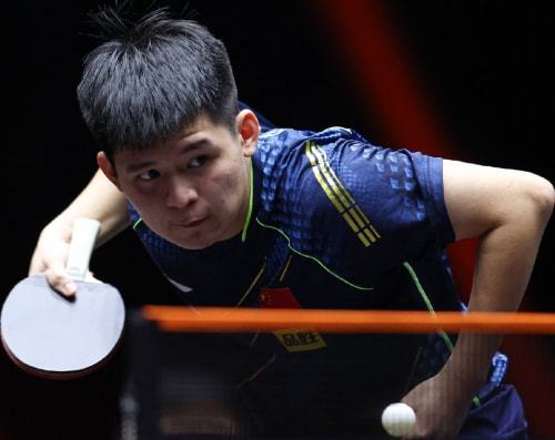 而非遮羞布 而非遮羞布